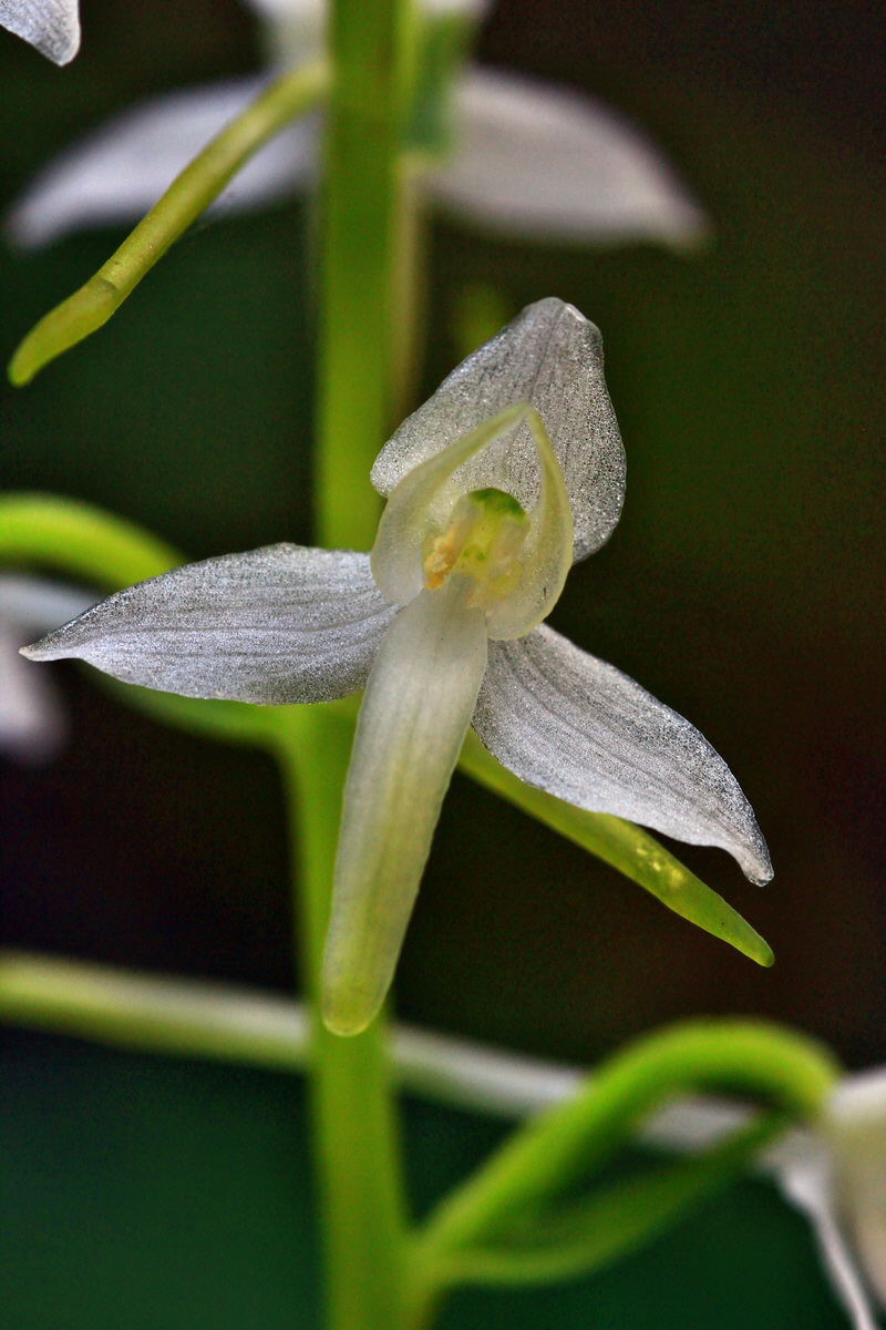 2013_06_12_00021230_Bildgr��e �ndern