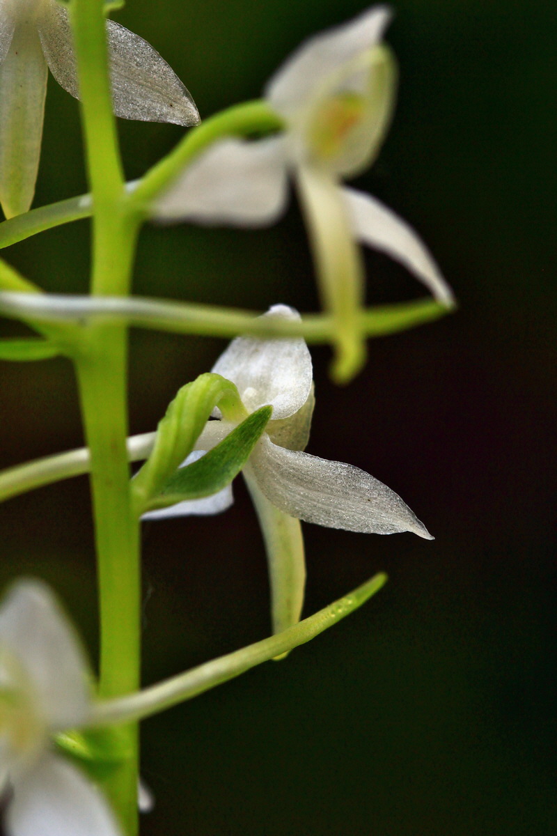 2013_06_12_00021238_Bildgr��e �ndern