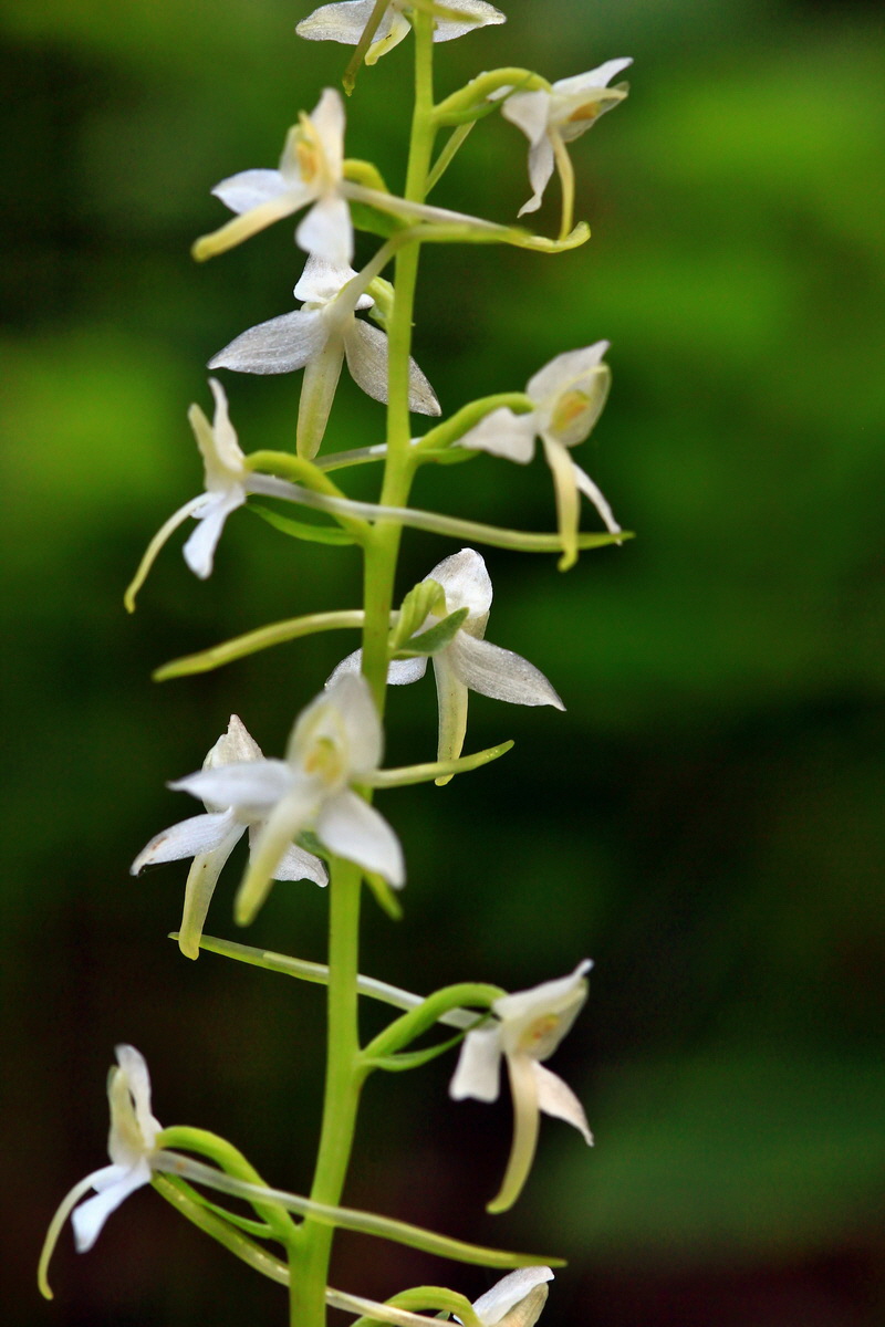 2013_06_12_00021243_Bildgr��e �ndern