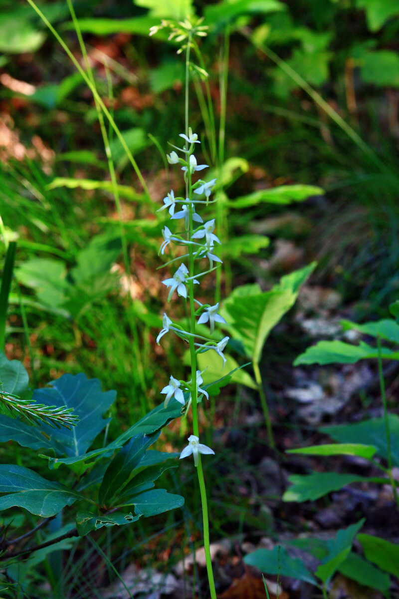 2013_06_12_00021256_Bildgr��e �ndern