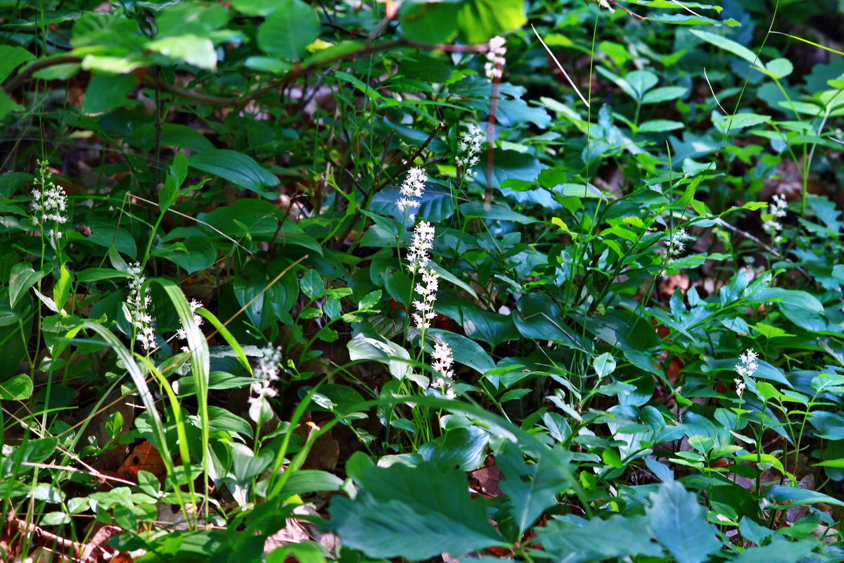 2013_06_12_00021304_Bildgr��e �ndern