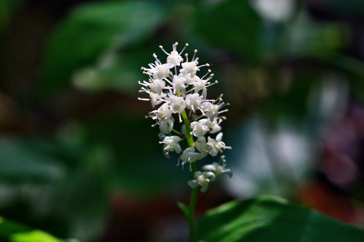 2013_06_12_00021308_Bildgr��e �ndern