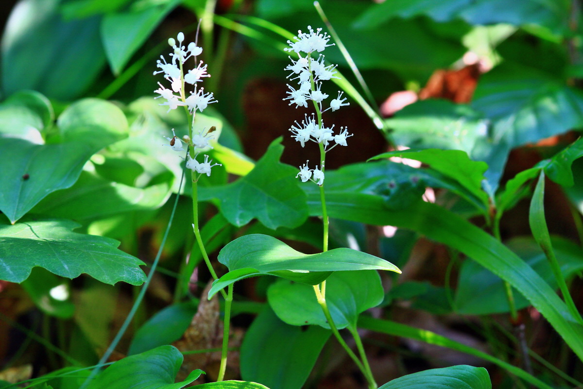 2013_06_12_00021311_Bildgr��e �ndern