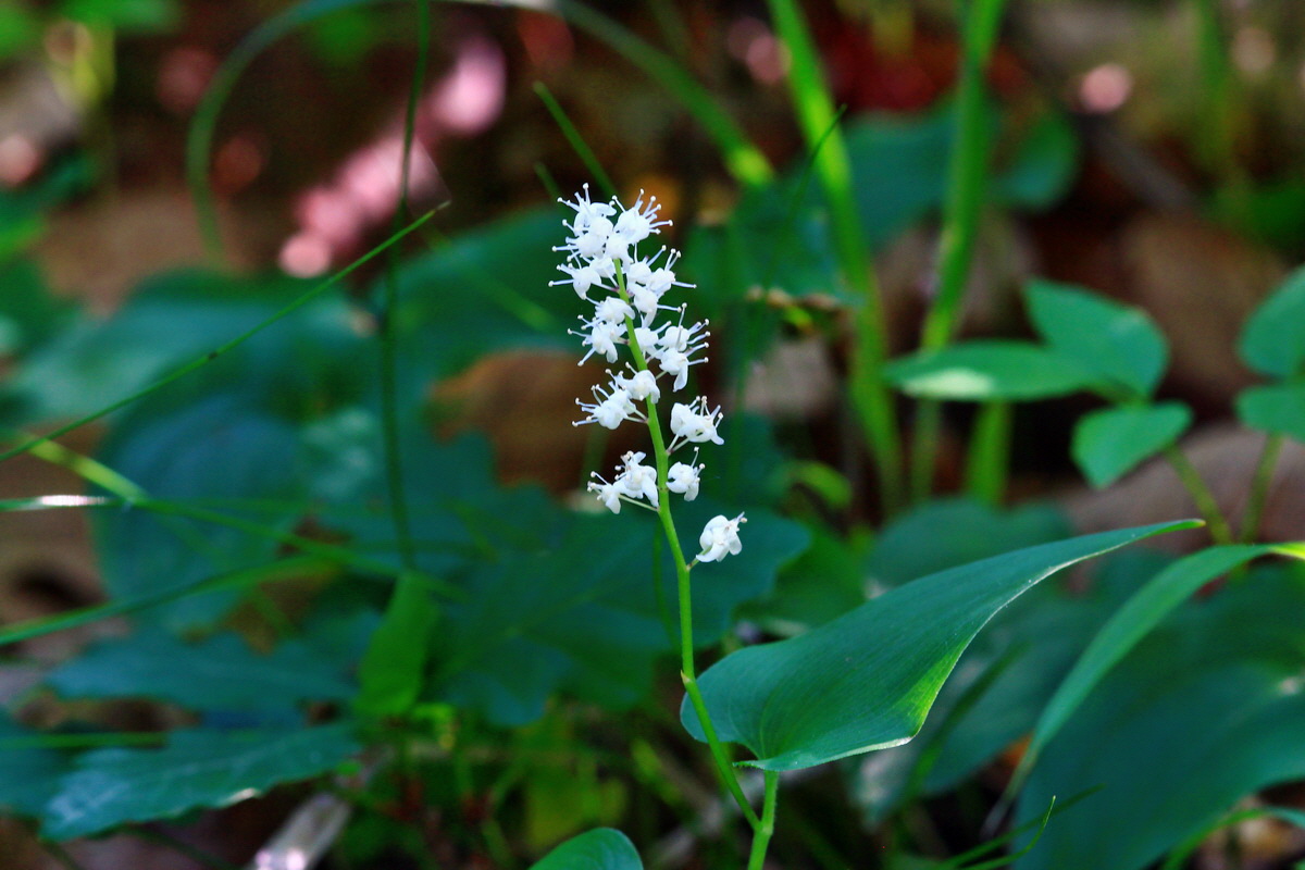 2013_06_12_00021318_Bildgr��e �ndern