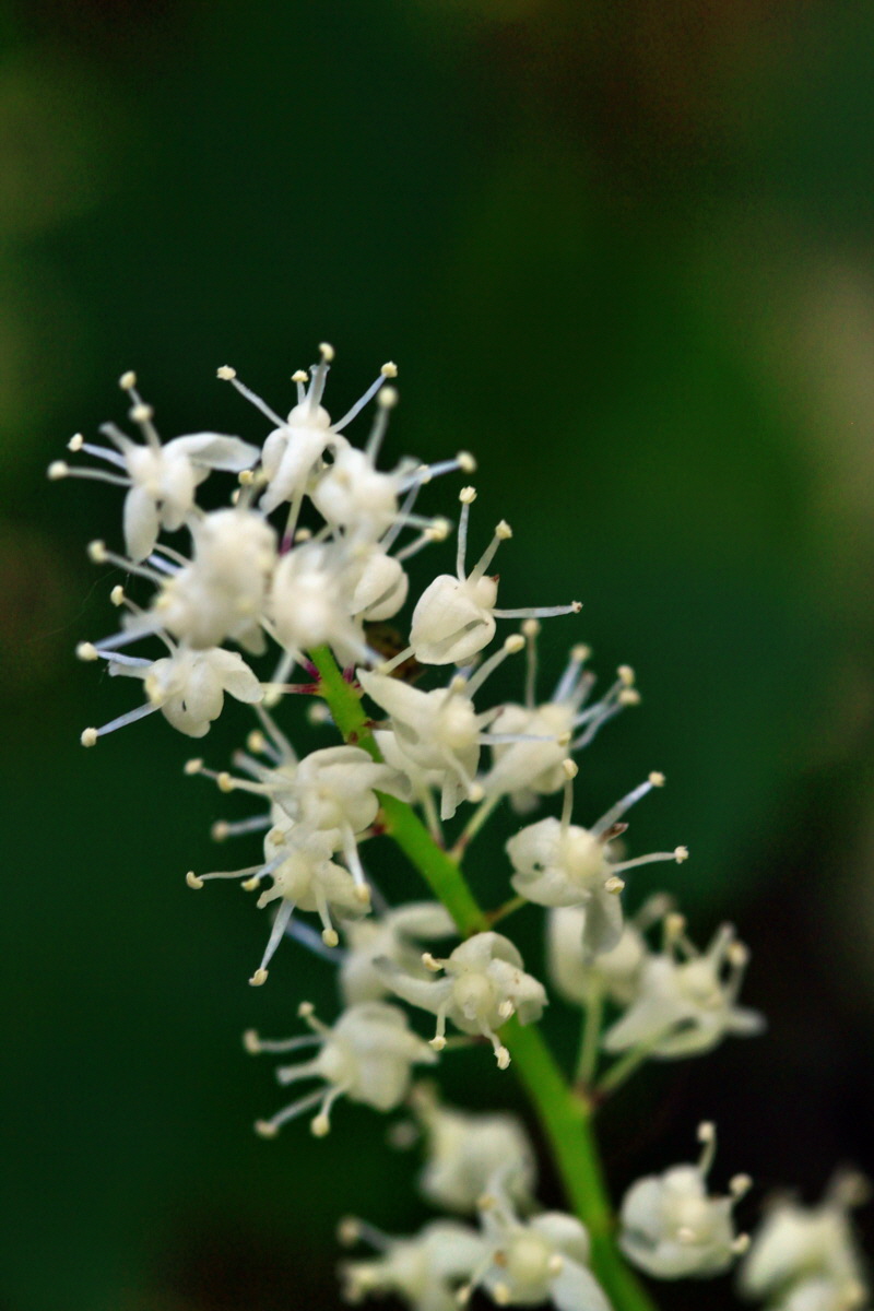 2013_06_12_00021322_Bildgr��e �ndern