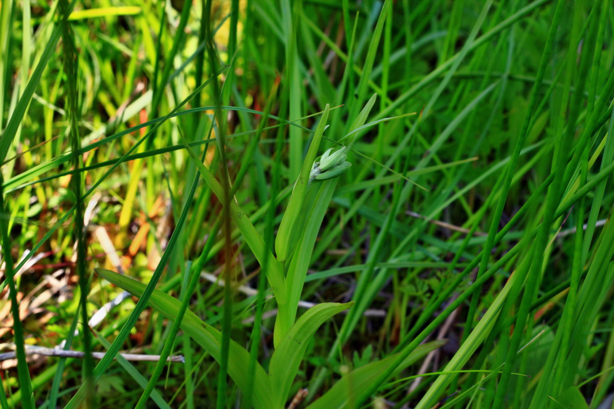 2013_06_12_00021337_Bildgr��e �ndern