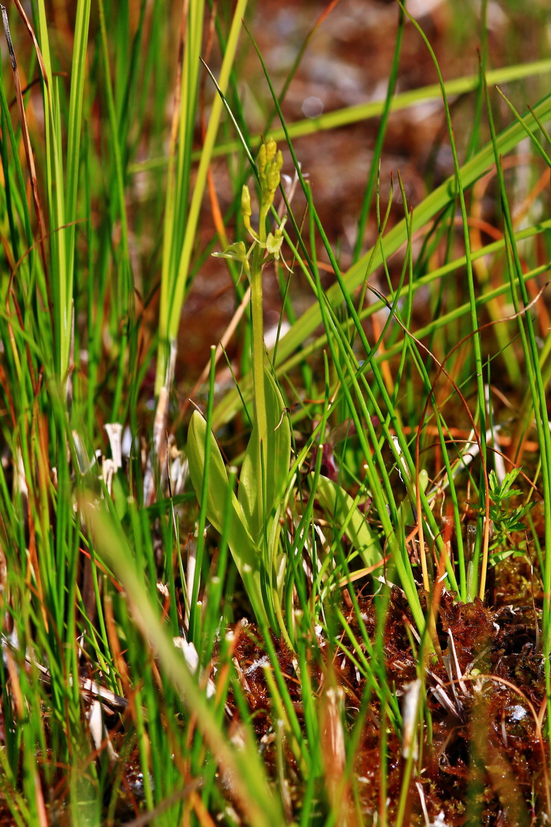 2013_06_12_00021340_Bildgr��e �ndern