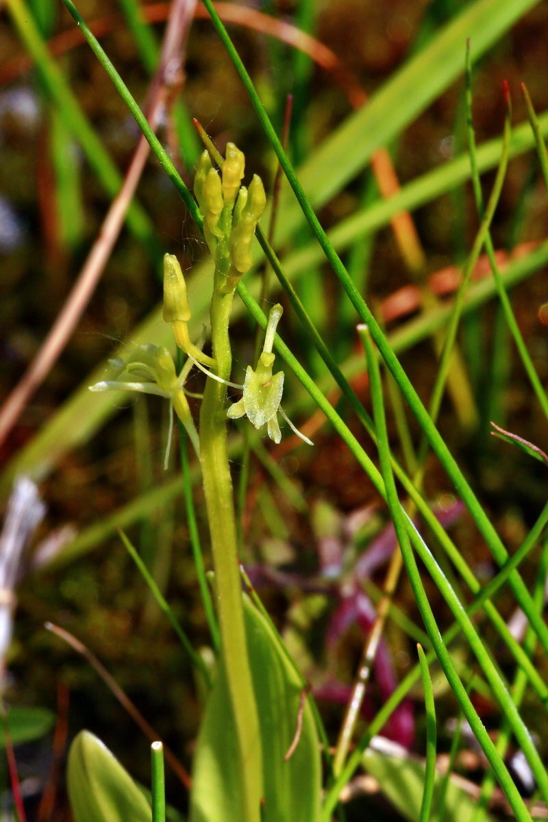 2013_06_12_00021347_Bildgr��e �ndern