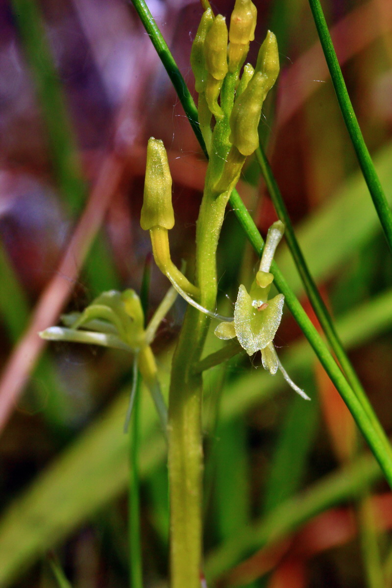 2013_06_12_00021354_Bildgr��e �ndern