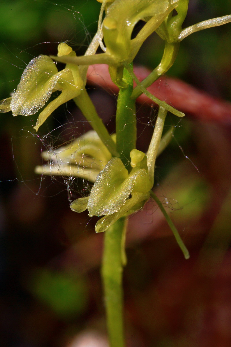 2013_06_12_00021368_Bildgr��e �ndern