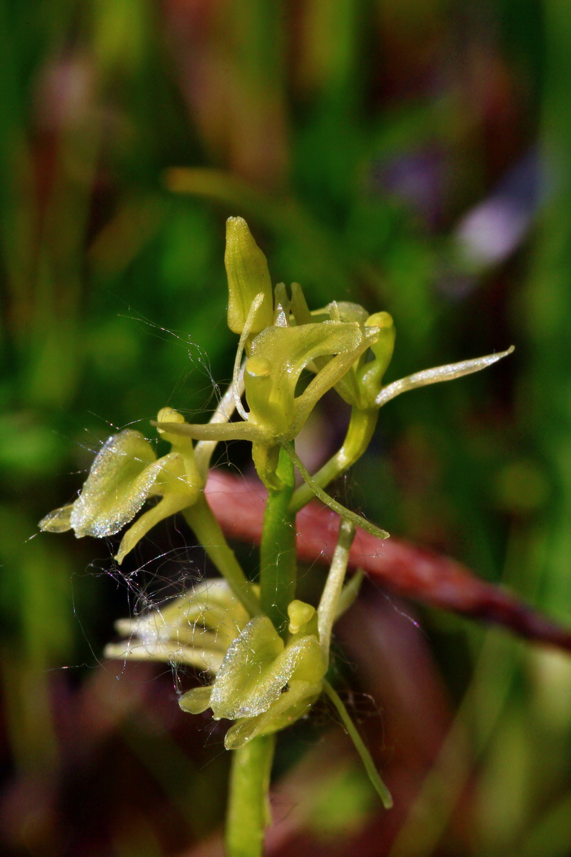 2013_06_12_00021378_Bildgr��e �ndern