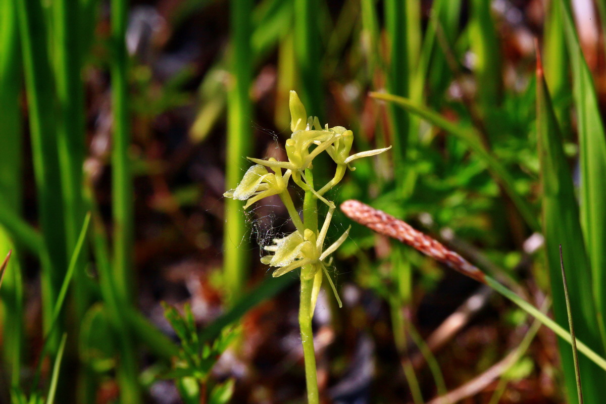 2013_06_12_00021382_Bildgr��e �ndern