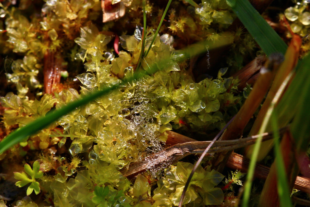 2013_06_12_00021441_Bildgr��e �ndern