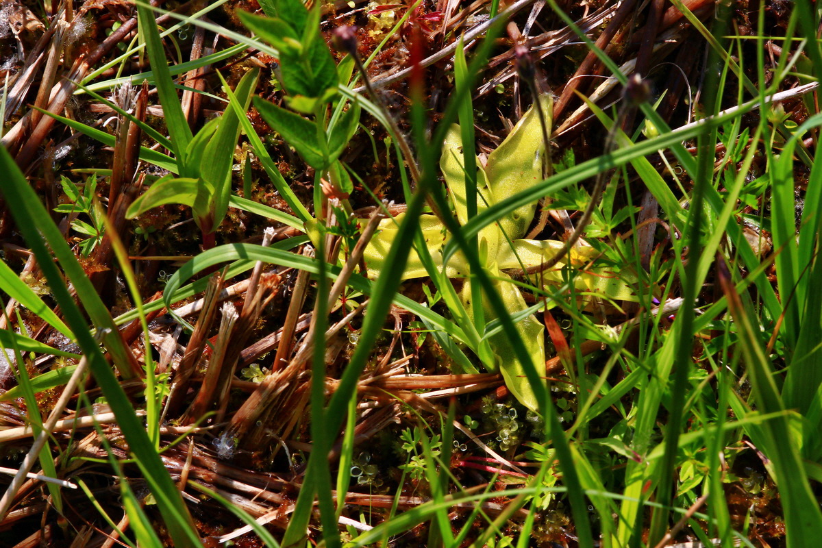 2013_06_12_00021445_Bildgr��e �ndern