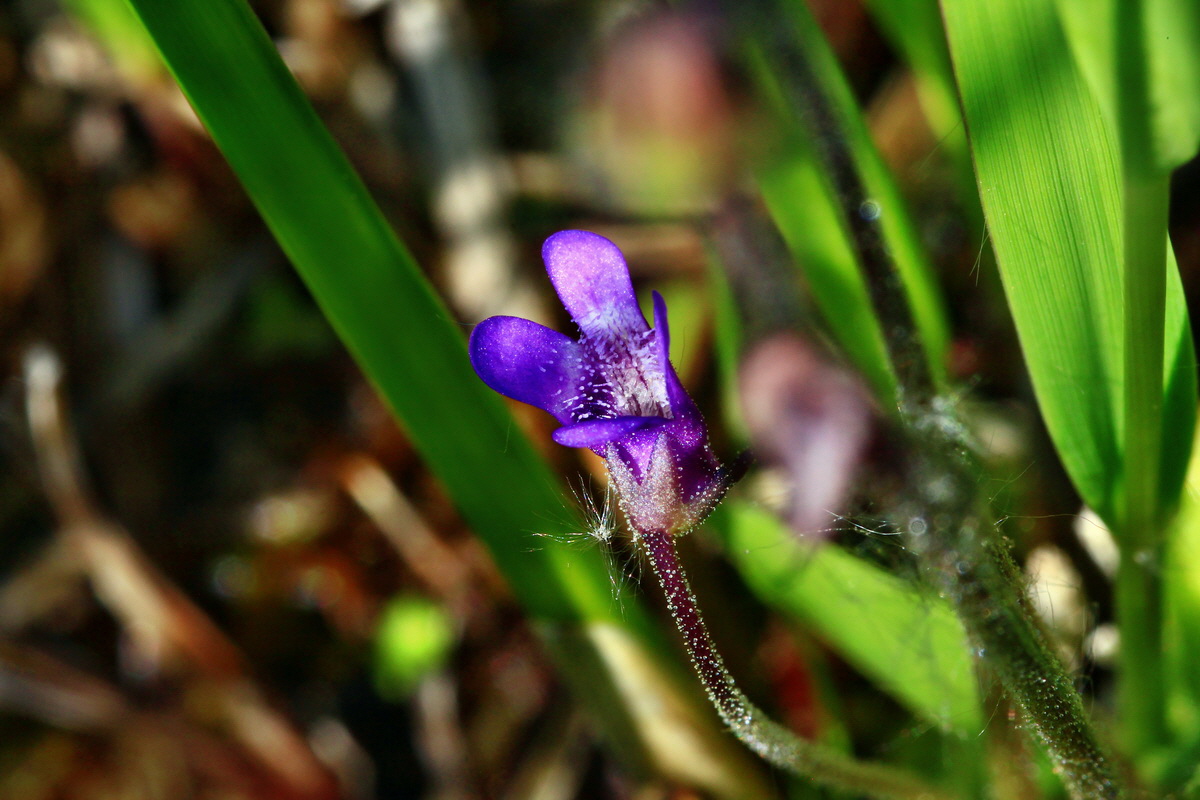 2013_06_12_00021448_Bildgr��e �ndern