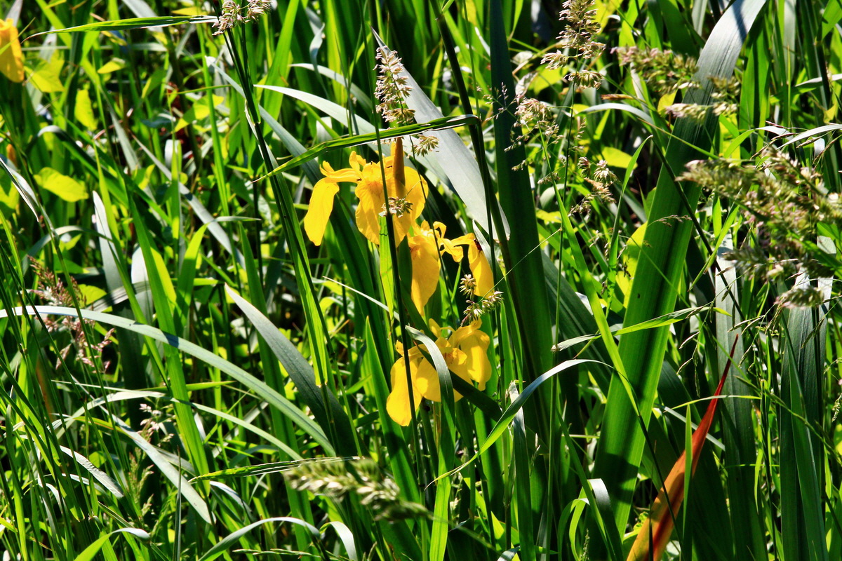 2013_06_12_00021455_Bildgr��e �ndern