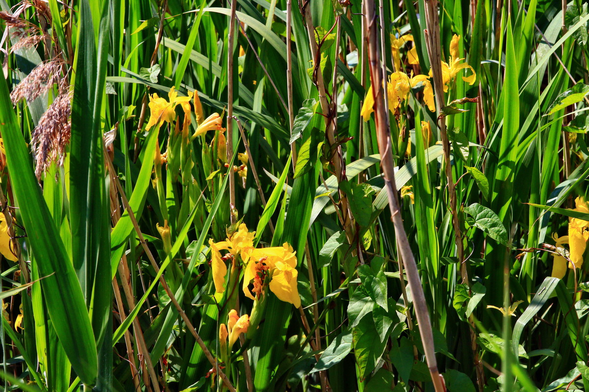 2013_06_12_00021457_Bildgr��e �ndern