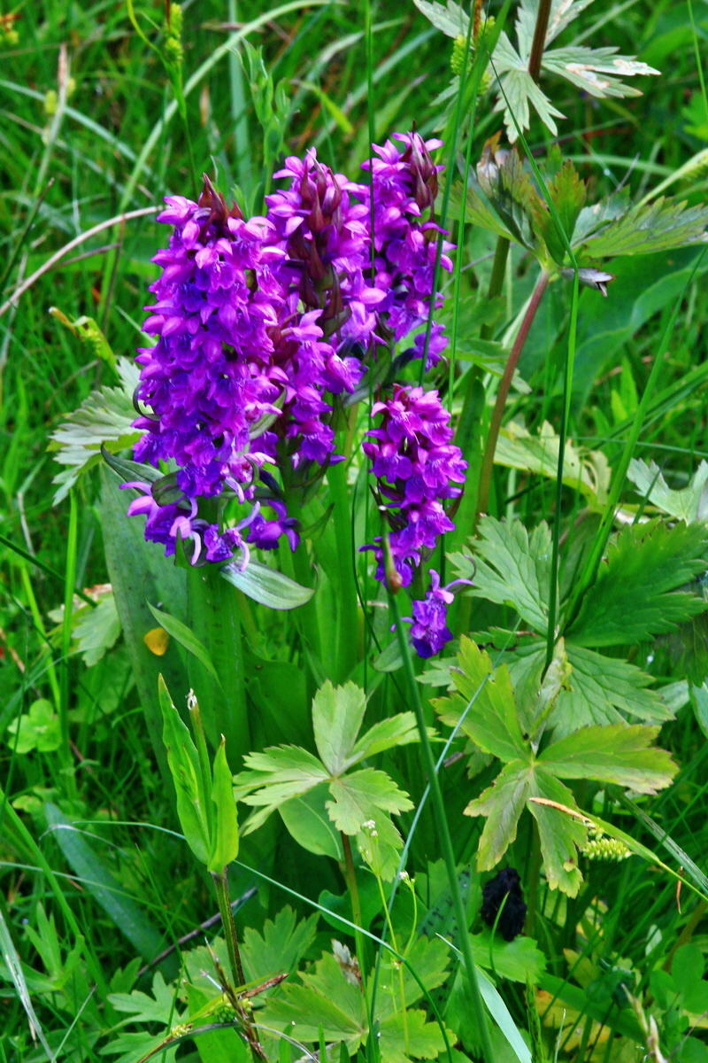 2013_06_14_00021472_Bildgr��e �ndern