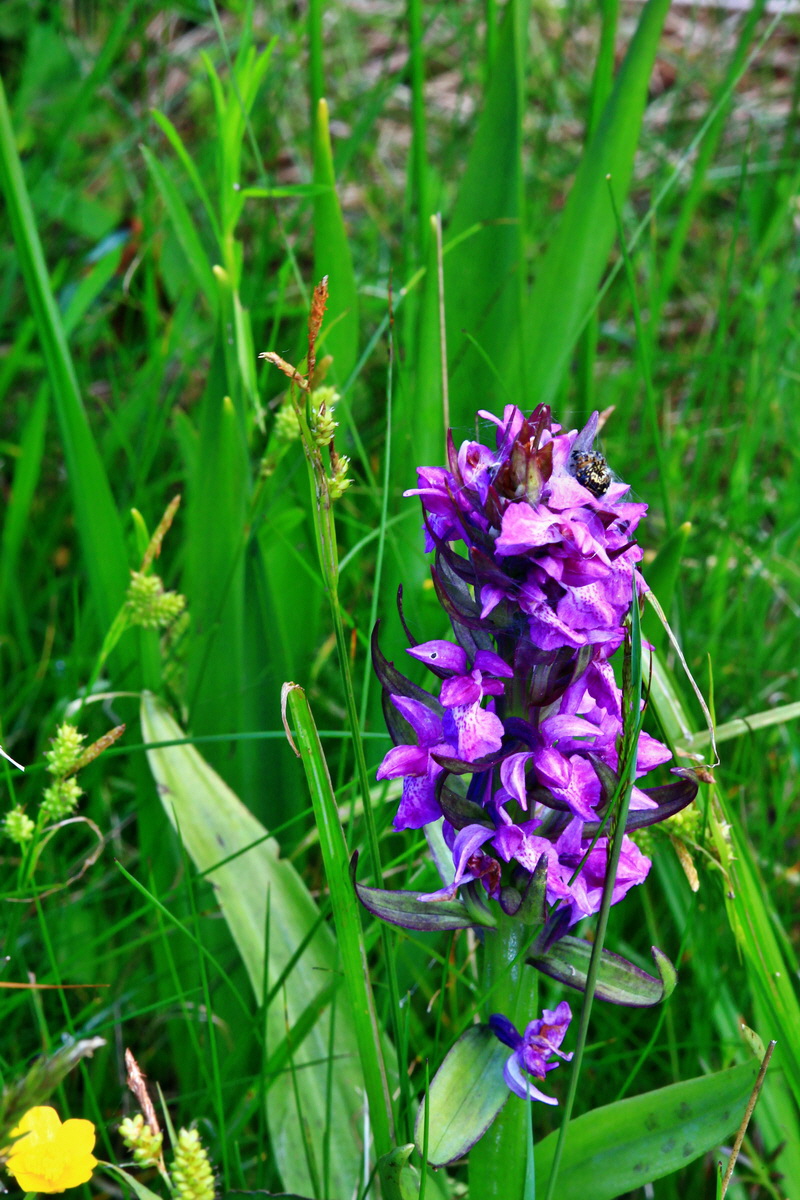 2013_06_14_00021473_Bildgr��e �ndern