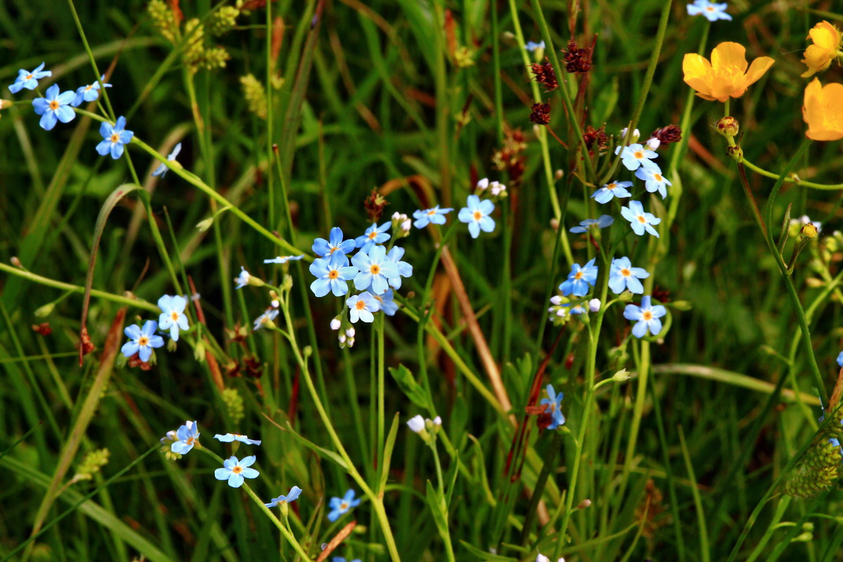 2013_06_14_00021492_Bildgr��e �ndern