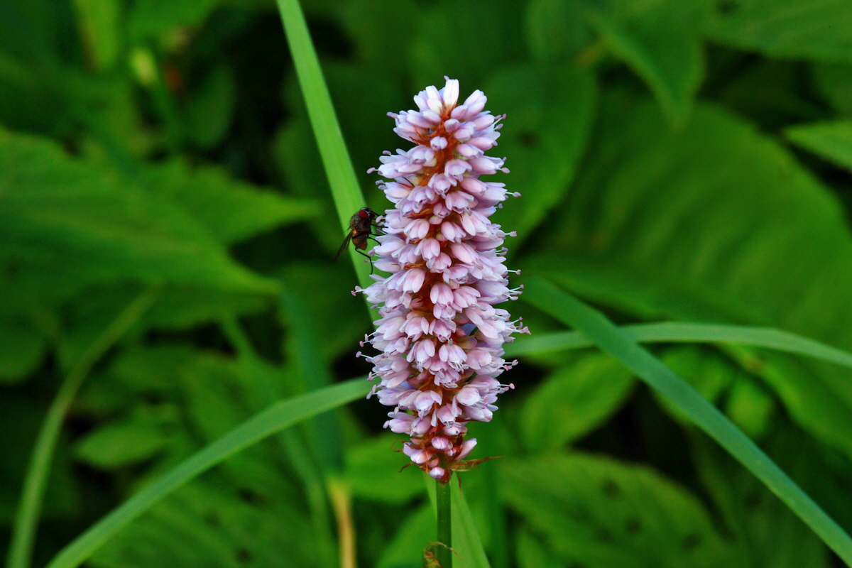 2013_06_14_00021503_Bildgr��e �ndern