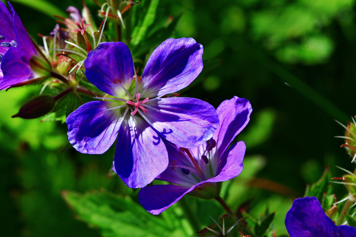 2013_06_14_00021582_Bildgr��e �ndern