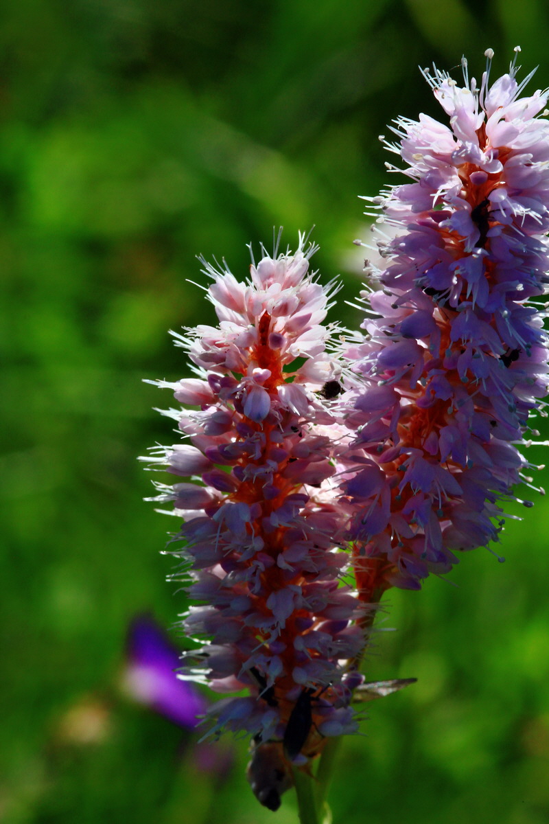 2013_06_14_00021589_Bildgr��e �ndern