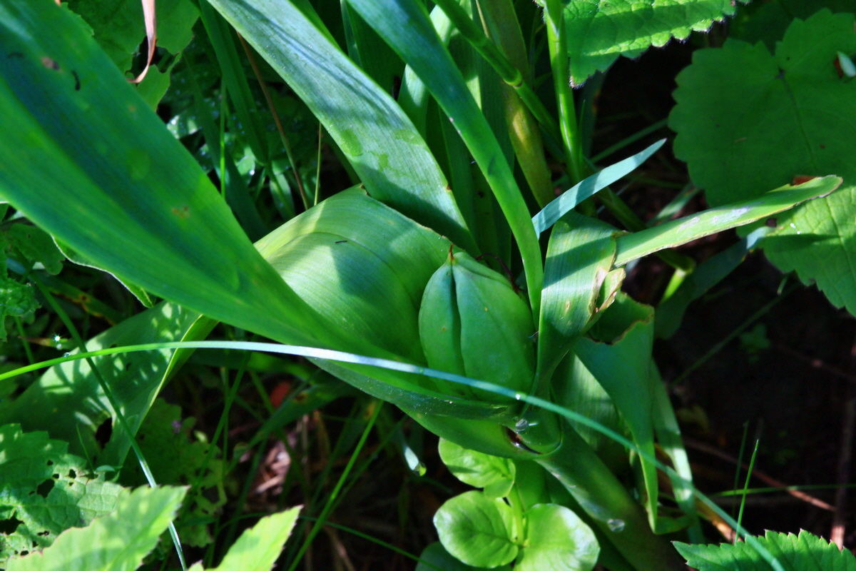 2013_06_14_00021598_Bildgr��e �ndern