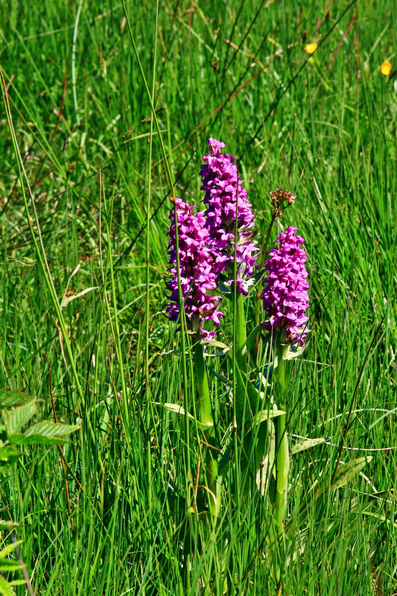 2013_06_14_00021635_Bildgr��e �ndern