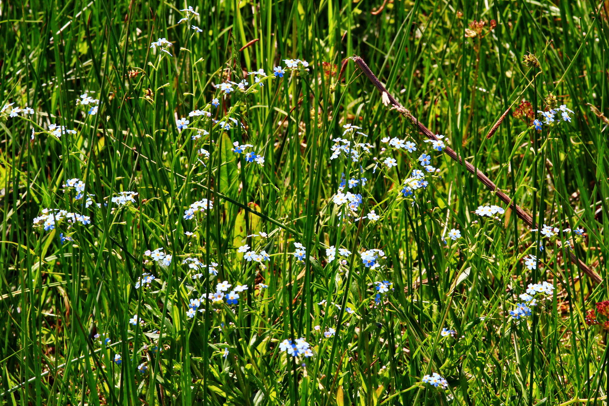 2013_06_14_00021645_Bildgr��e �ndern