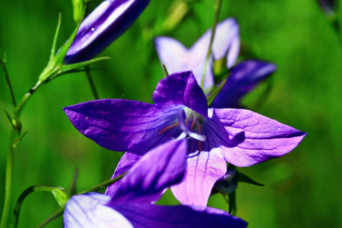 2013_06_14_00021667_Bildgr��e �ndern