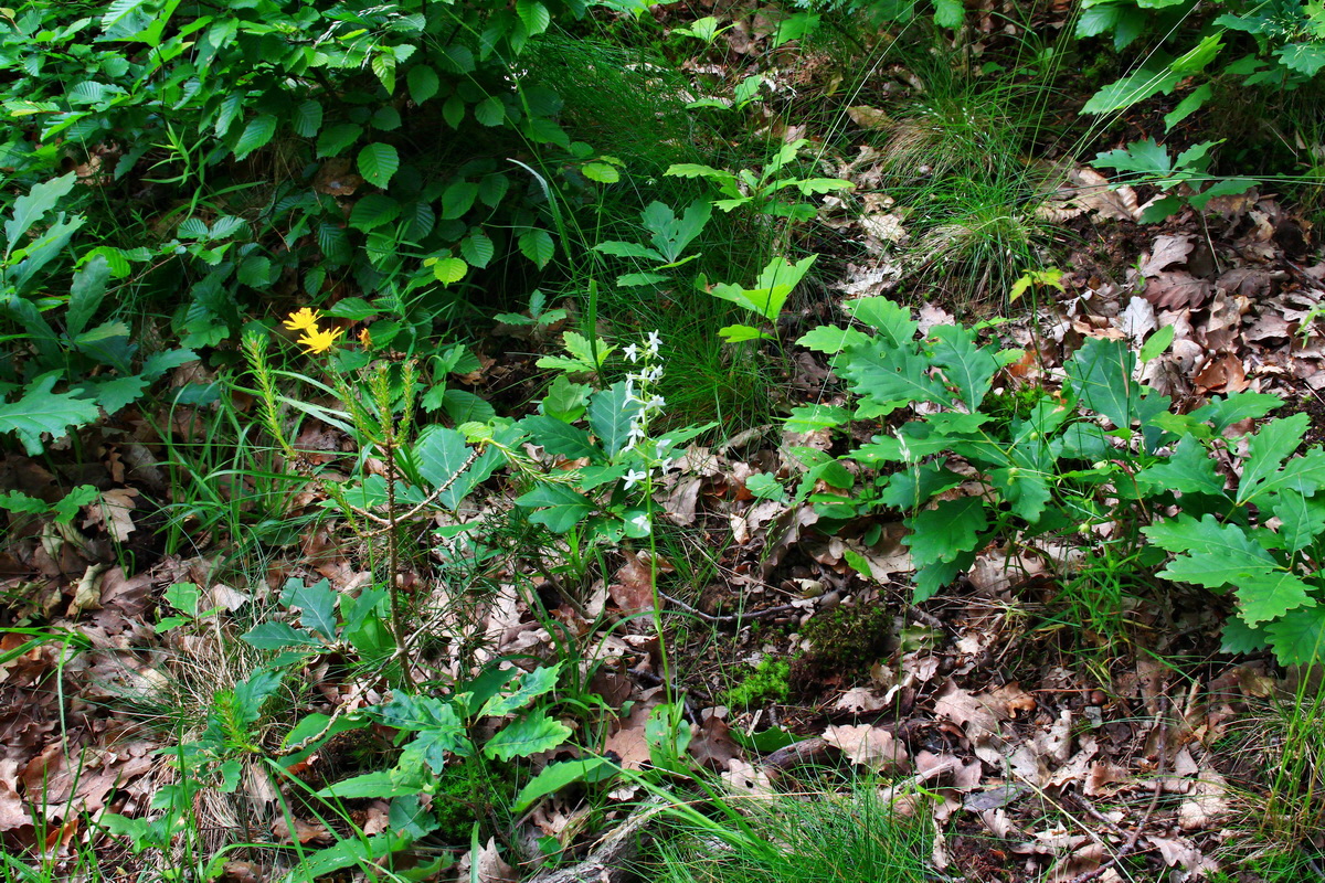 2013_06_15_00021709p_Bildgr��e �ndern