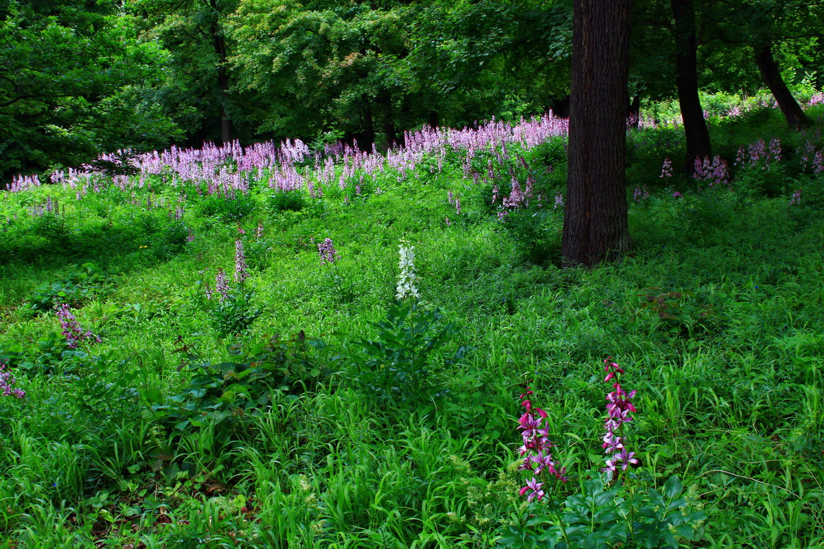 2013_06_15_00021718p_Bildgr��e �ndern