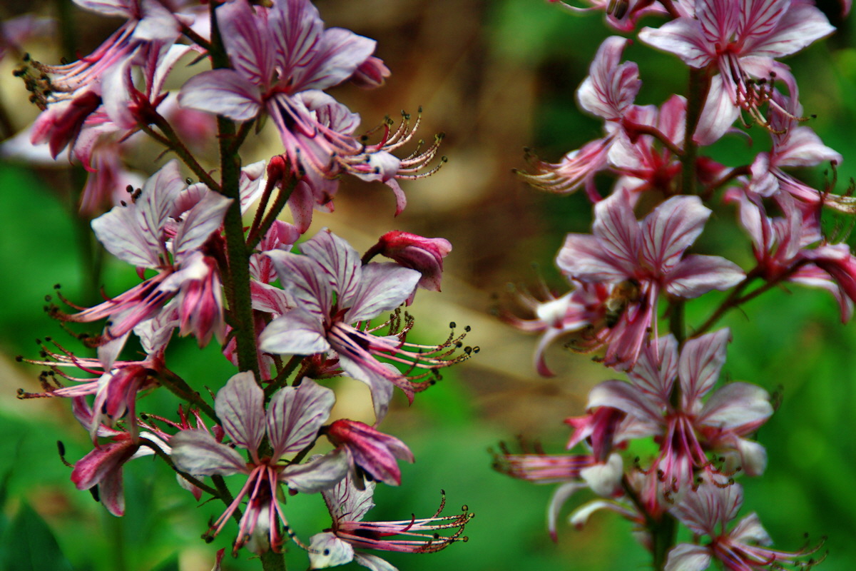 2013_06_15_00021724p_Bildgr��e �ndern