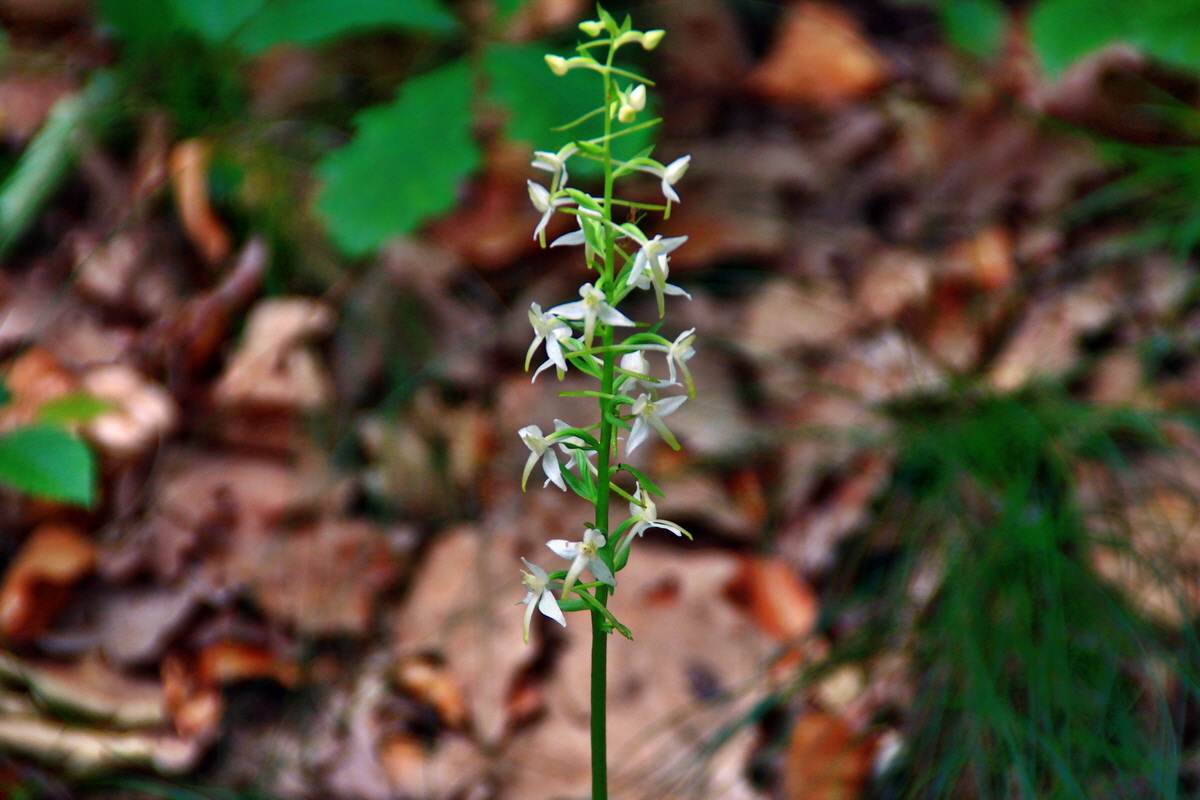 2013_06_15_00021737p_Bildgr��e �ndern