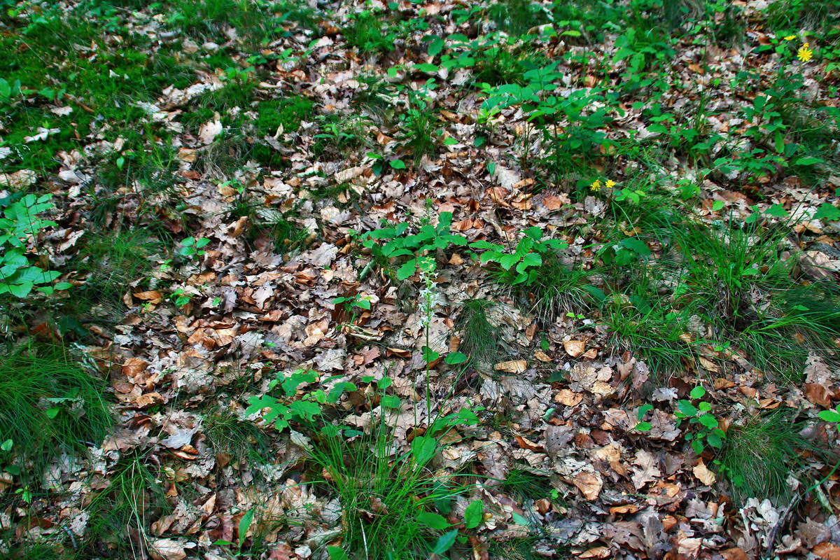 2013_06_15_00021744p_Bildgr��e �ndern