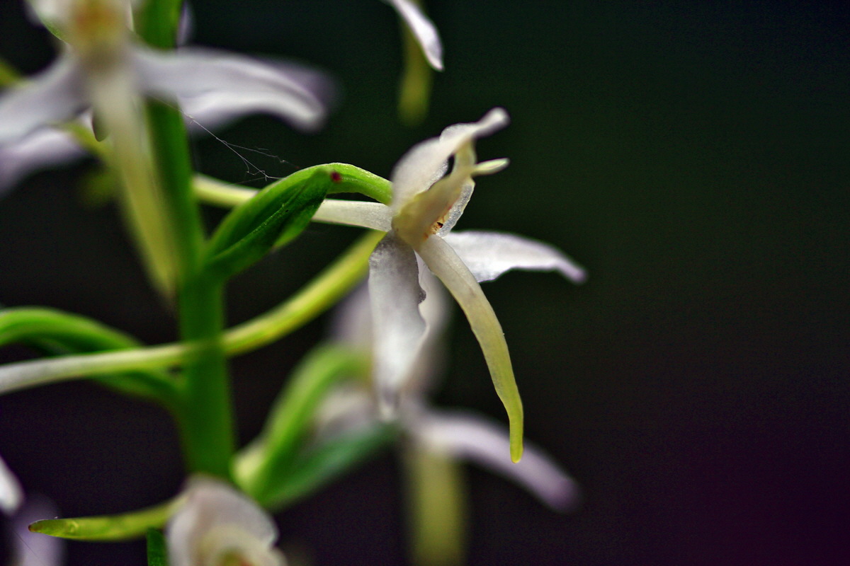 2013_06_15_00021756p_Bildgr��e �ndern