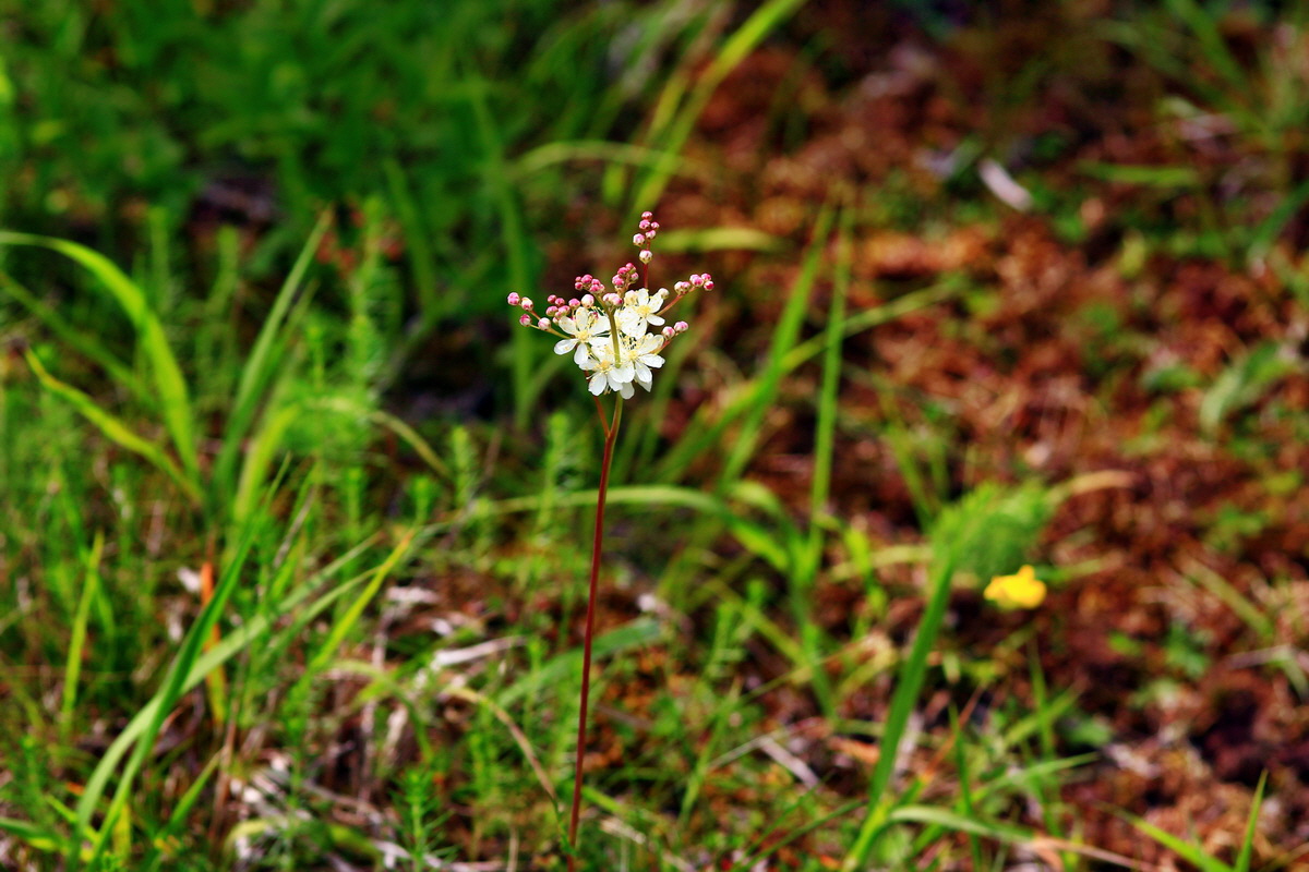 2013_06_15_00021762p_Bildgr��e �ndern