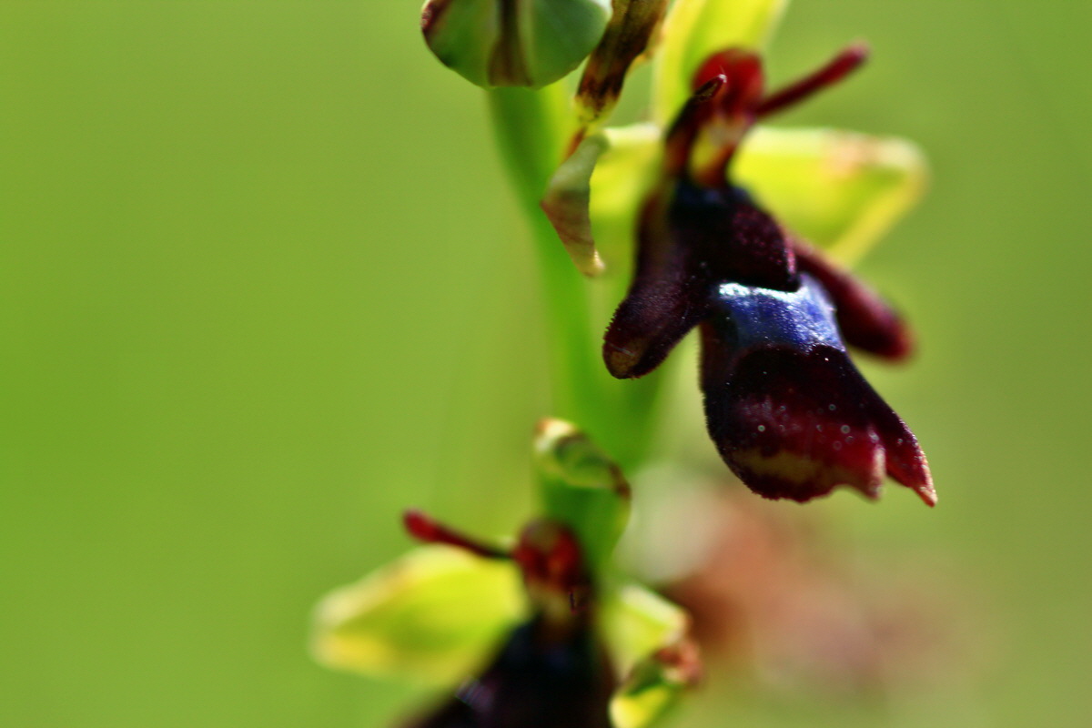 2013_06_15_00021773p_Bildgr��e �ndern