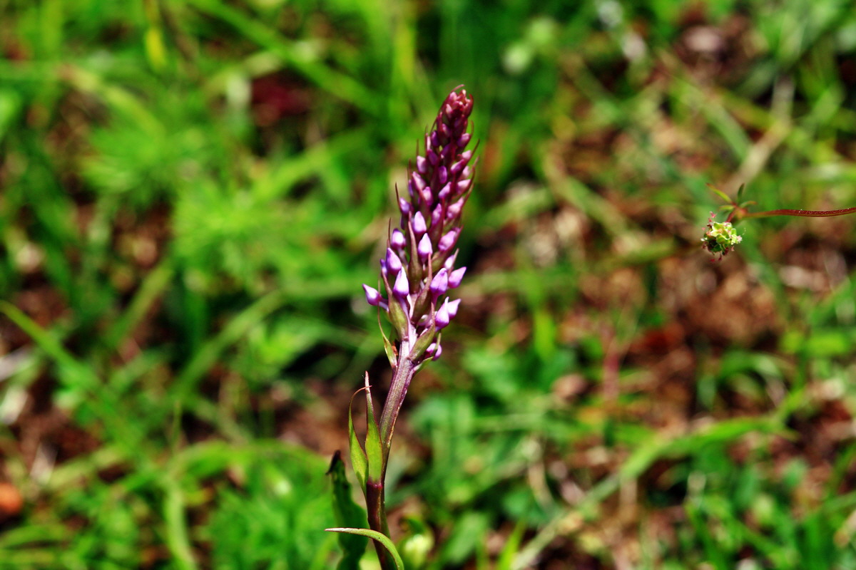 2013_06_15_00021780p_Bildgr��e �ndern