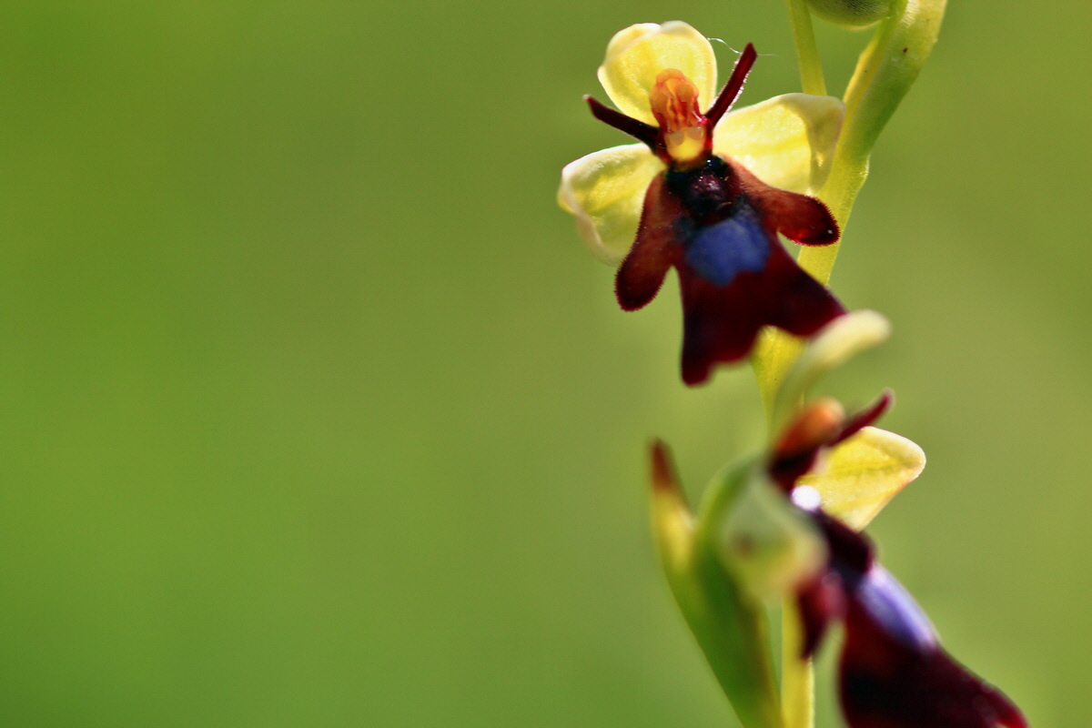 2013_06_15_00021797p_Bildgr��e �ndern