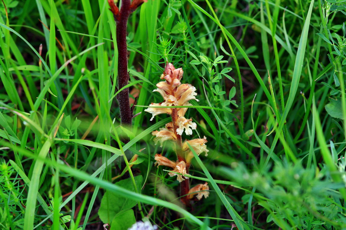 2013_06_15_00021845p_Bildgr��e �ndern