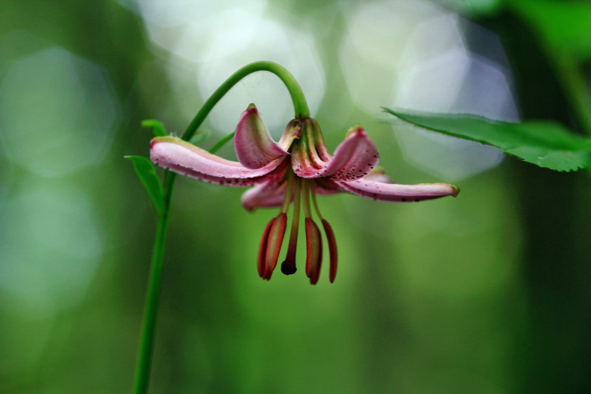 2013_06_15_00021857p_Bildgr��e �ndern