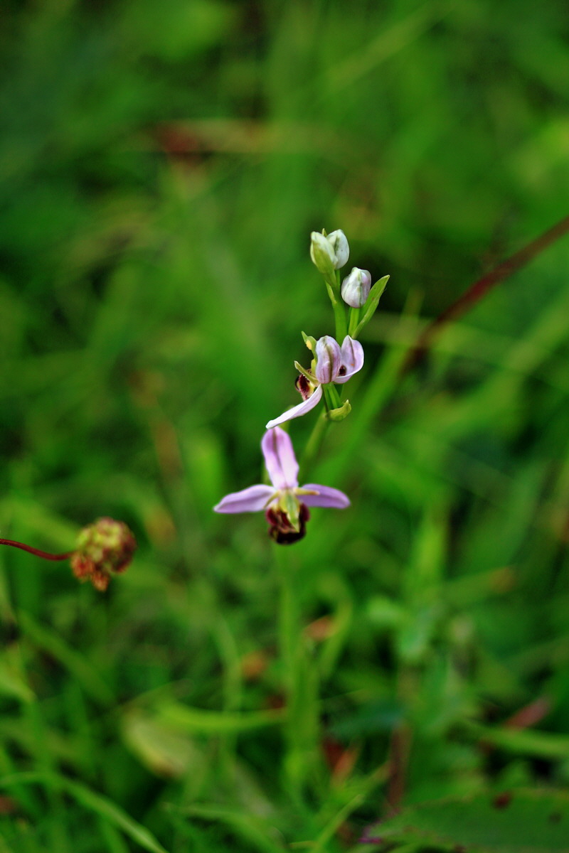 2013_06_15_00021899p_Bildgr��e �ndern