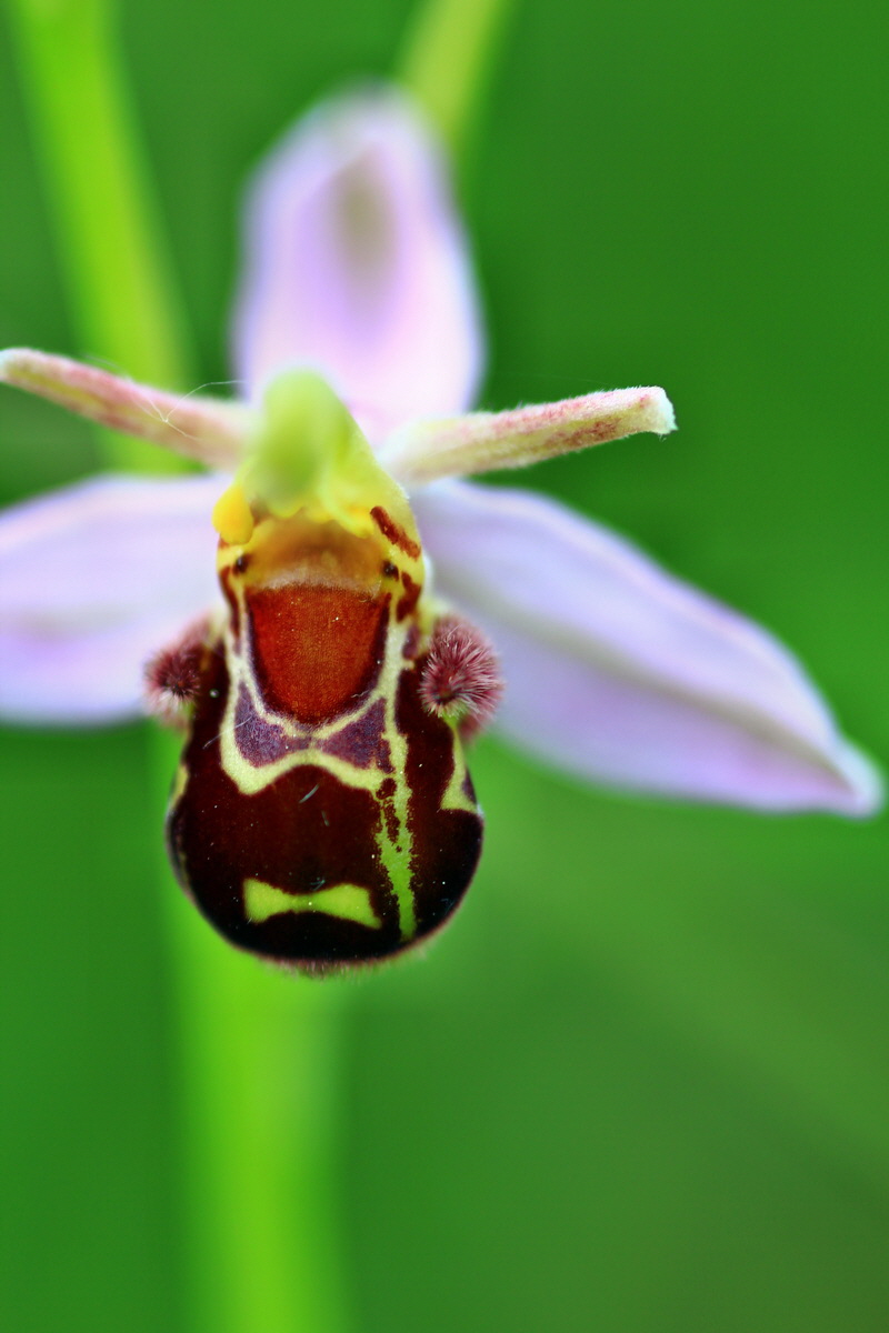 2013_06_15_00021910p_Bildgr��e �ndern