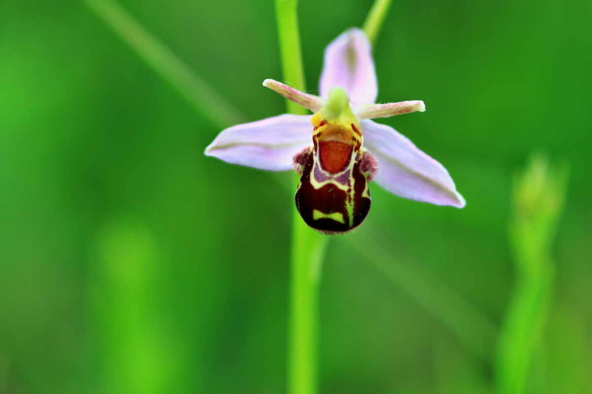 2013_06_15_00021914p_Bildgr��e �ndern