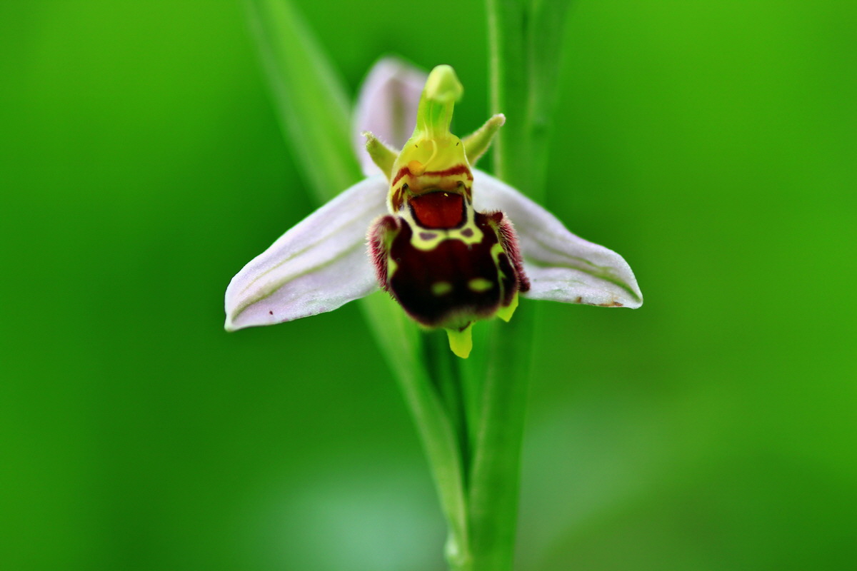 2013_06_15_00021922p_Bildgr��e �ndern