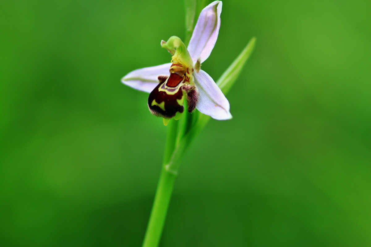 2013_06_15_00021929p_Bildgr��e �ndern