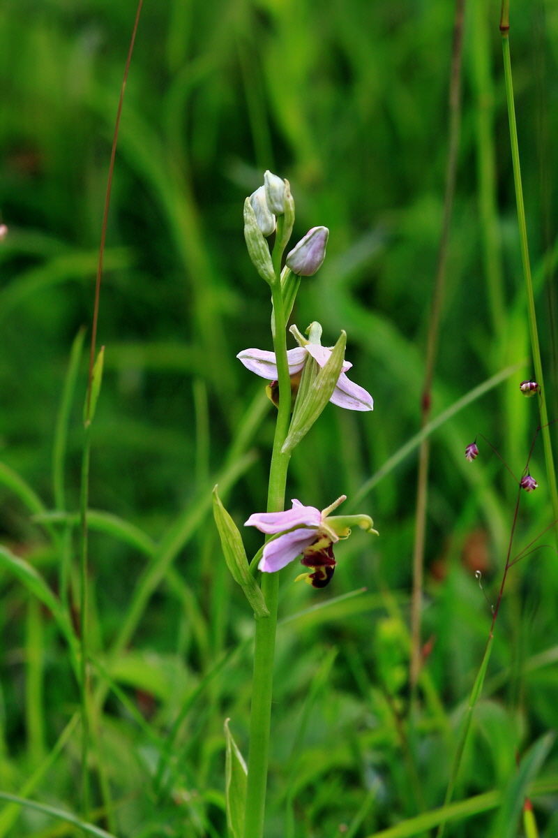 2013_06_15_00021949p_Bildgr��e �ndern