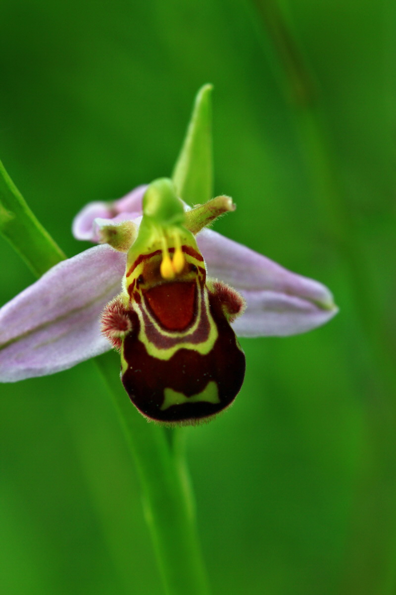 2013_06_15_00021961p_Bildgr��e �ndern